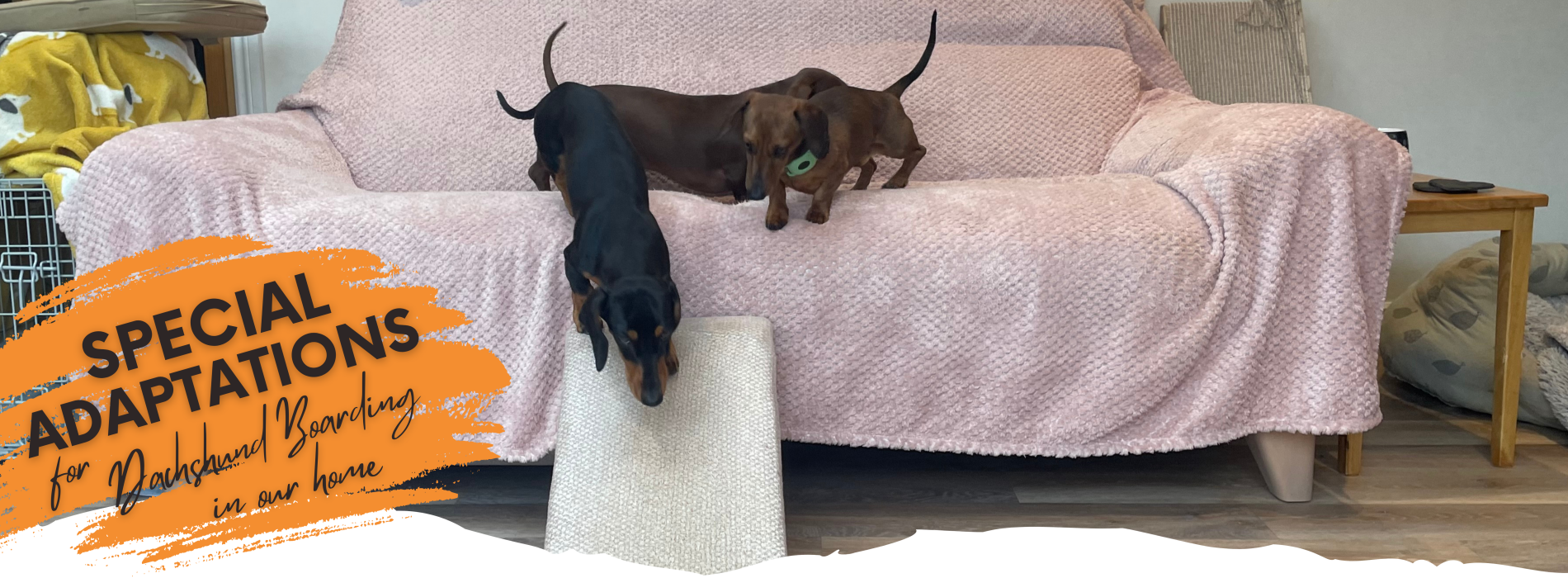 Sausage Sitter Slider Dachshund Boarding